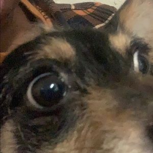 Meet your Posher, Jayla